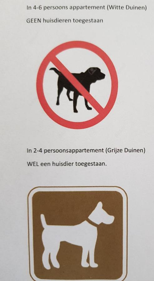 Apartment Wittegrijzeduinen *
