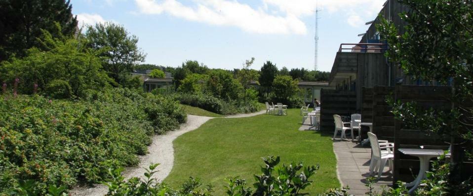 Wittegrijzeduinen Hollum (Ameland)